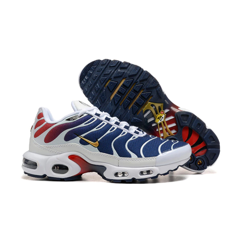 Air Max Plus TN 1 “PSG”