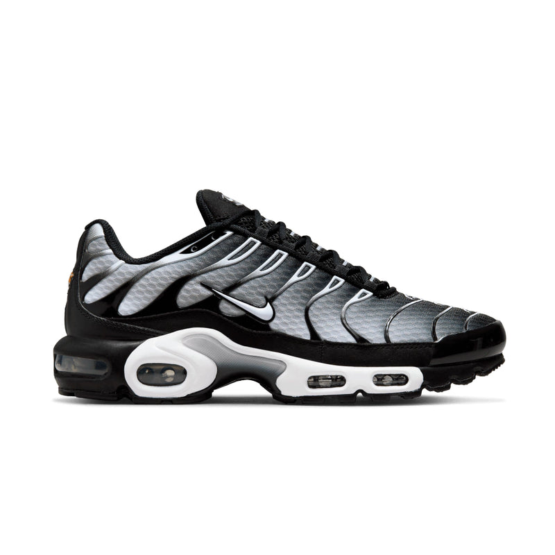 Air Max Plus TN 1 “Black Metallic”